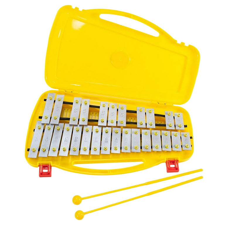 27 Note Xylophone and Two Mallets Perfectly Gift with Case Glockenspiel for  Baby Beginners Adult Toddlers Percussion 