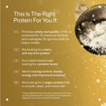 thumbnail image 4 of Suplemento LTH Vital Vegan Protein Vanilla 930 g 20 g de proteína, 4 of 8