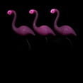 thumbnail image 3 of 3 In 1 LED Flamingo Solar Power Light, Beautiful Color, Easy to Install, Energy Saving, Durable, Perfect for Park, Garden, Pathway, Yard, Patio, Backyard, 3 of 8