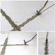 thumbnail image 2 of Juego de 2 piezas de máquina ranuradora, herramienta para quitar lechada, cuchilla triangular para calafateo, raspador de esquinas, cono para limpiar juntas de baldosas de piso, 2 of 6