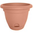thumbnail image 1 of Bloem 4691986 LP1246 12 in. Terracotta Lucca Planter, 1 of 1