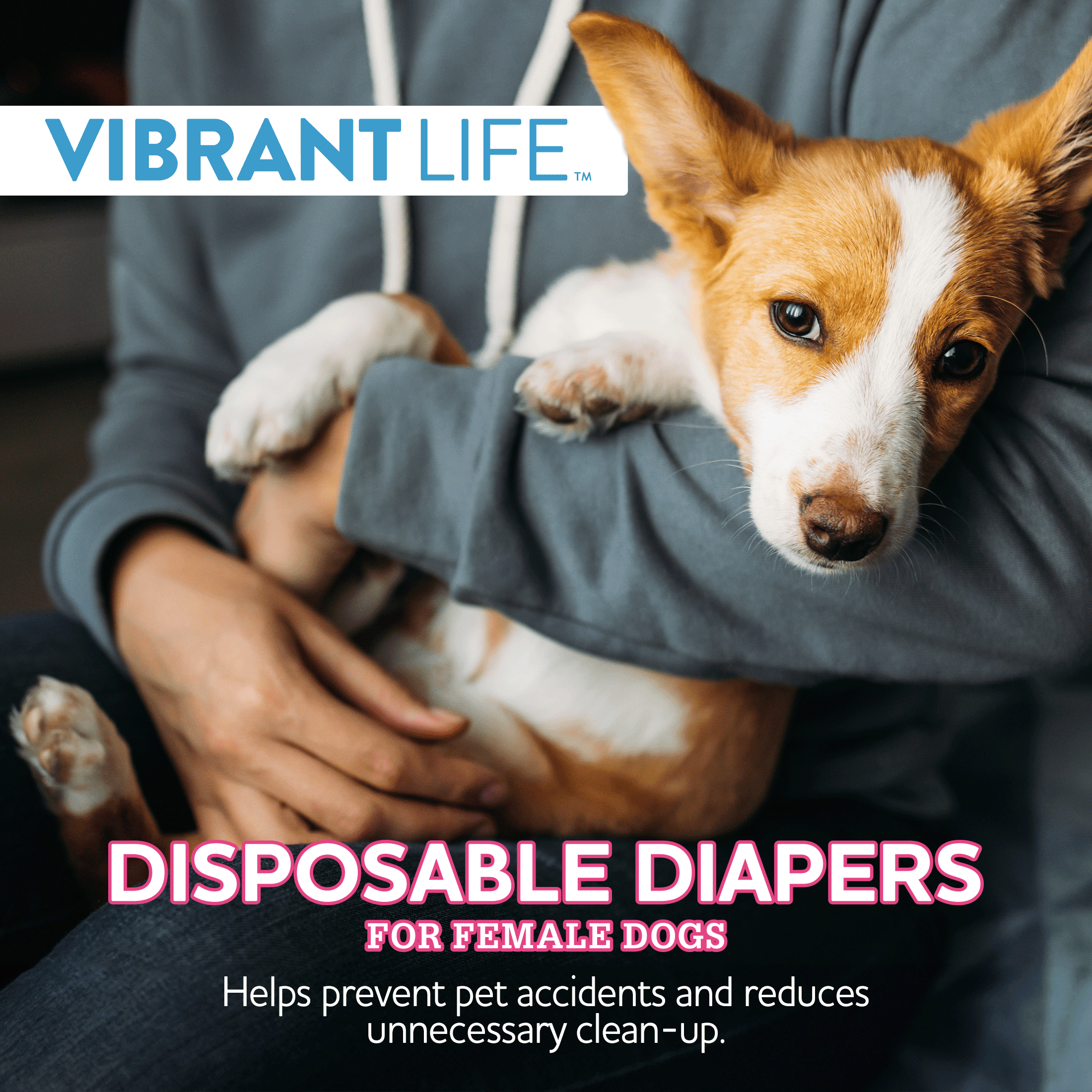 Vibrant Life Disposable Diapers for Female Dogs - Med