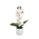 thumbnail image 2 of Juego de orquídeas Phalaenopsis artificiales en maceta con 7 flores, decoración floral realista para hogar, bodas, oficina, 31x20 cm, múltiples colores, 2 of 7