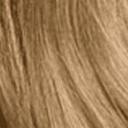 8A Medium Ash Brown