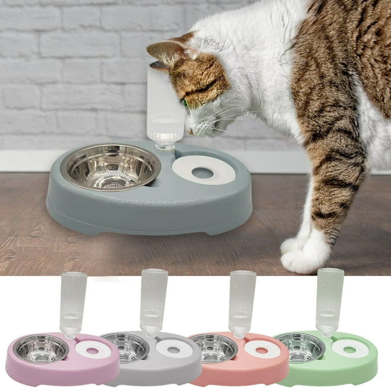 Large cat top food bowls