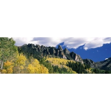 Forest on a mountain Jackson Guard Station Ridgway Colorado USA Canvas Art - Panoramic Images (36 x 12)