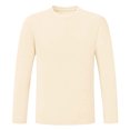 thumbnail image 3 of Men’s Long Sleeve T-Shirt Polyester Casual Loose Fit Top Breathable Quick Dry Round Neck Moisture Wicking Workout Gym Activewear Daily | Zenithor,Beige M, 3 of 7
