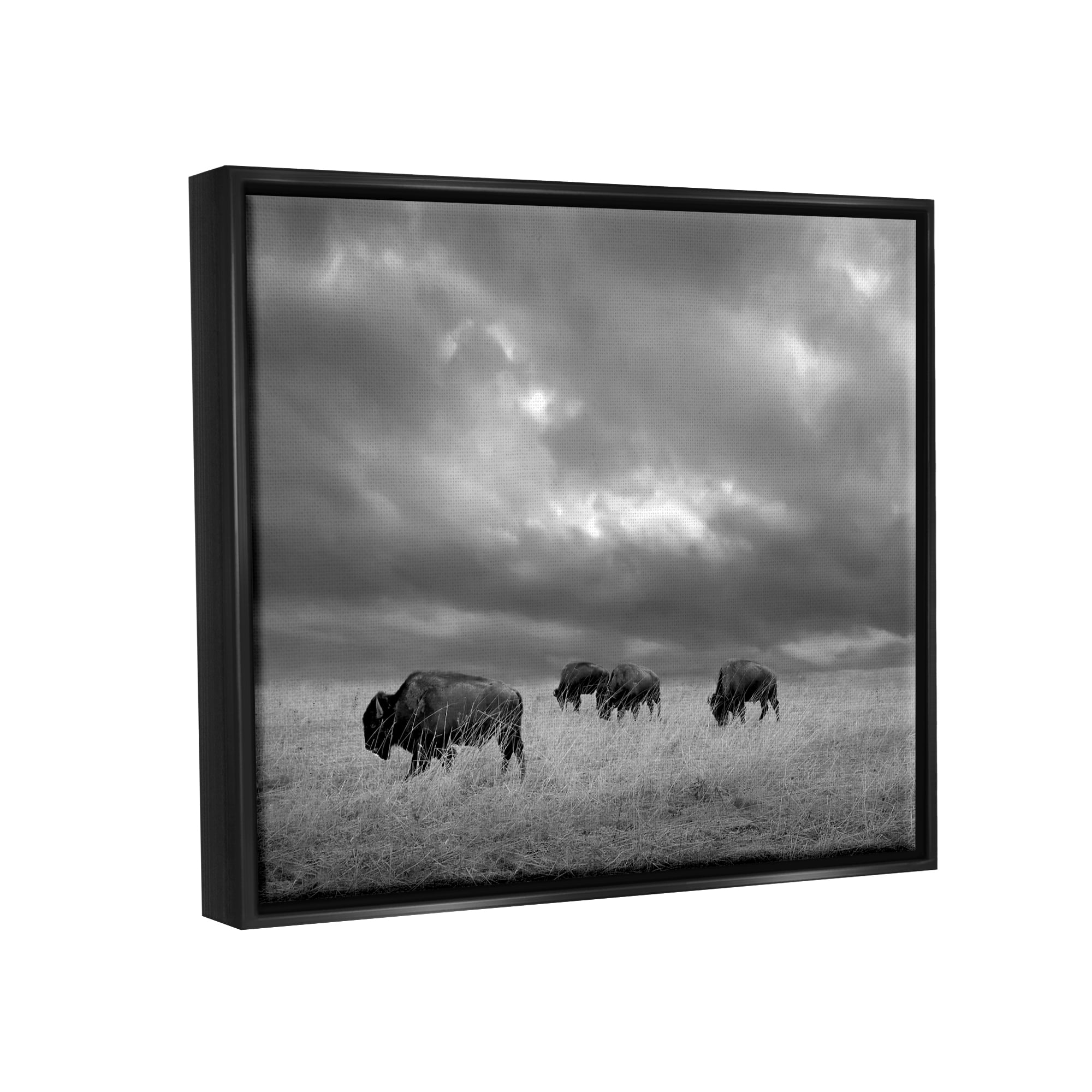 Stupell Industries Bison in Cloudy Field Landscape Photography Black Floater Framed Canvas Art Print Wall Art, 21 x 17