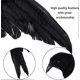 thumbnail image 3 of Feathered Crows Looking Realistic Crow, Black Feathered, 3 of 5