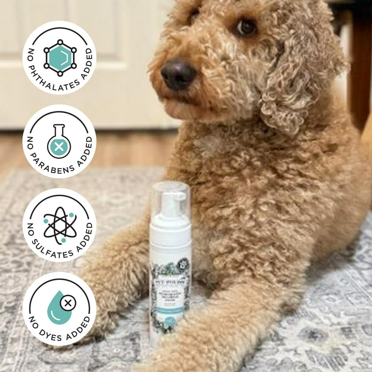 Pet-Pourri Rinse-Free Dry Shampoo, Pineapple photo 7