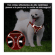 thumbnail image 3 of Pechera Arnés Con Bandas  Malubero ROJO talla S, 3 of 5
