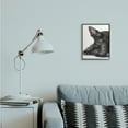 thumbnail image 2 of Stupell Industries Sleepy Scottish Terrier Portrait Adorable Pet Dog Black Framed, 11 x 14, Design by George Dyachenko, 2 of 8