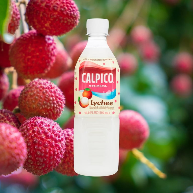 Calpico Non-Carbonated Soft Drink, Lychee, 16.9 fl oz Bottle, 1