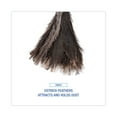 thumbnail image 6 of Boardwalk Professional Ostrich Feather Duster, 13" Wood Handle, 6 of 7