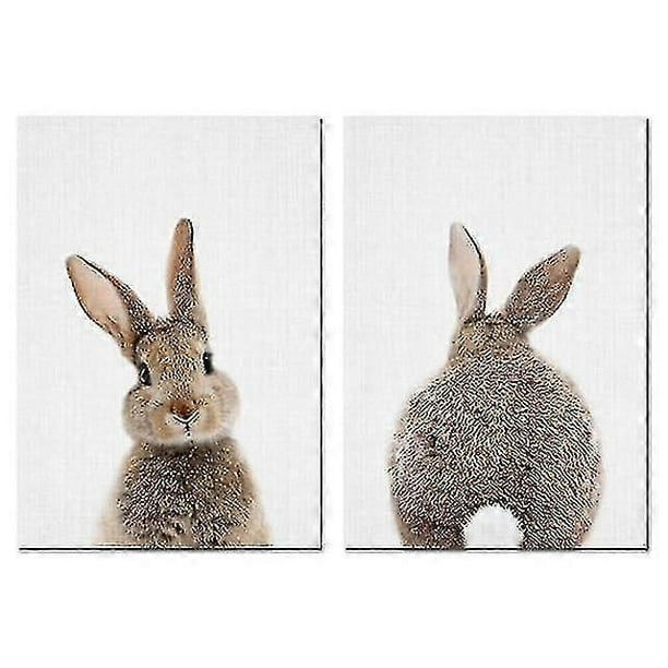 Rabbit Rabbit Tail Wall Art Picture Woodland Animals Canvas - Poster Nursery