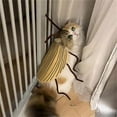 thumbnail image 3 of Cats Cockroach Costume DIY Set Family And Pet Fashion, 3 of 10