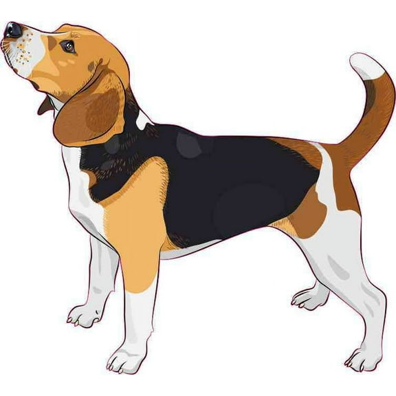 5in x 4.5in Beagle Bumper Sticker Car Vinyl Truck Window Dog Sign Decal