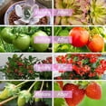 thumbnail image 4 of Luz De Cultivo De Planta Solar, 5W Luz LED Estable De Espectro Completo Con Energía Solar Para Plantas De Interior GOODUA VEG FLORM Lámpara De Cultivo Hidropónico, 4 of 7