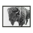 thumbnail image 3 of Kate and Laurel Sylvie Bison in Snow Black and White Framed Canvas Wall Art by Amy Peterson Art Studio, 18x24 Gray, Modern Animal Portrait Art for Wall, 3 of 7