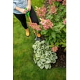 thumbnail image 2 of Garden Spade, big step, DH, Garant Gardener, 2 of 5