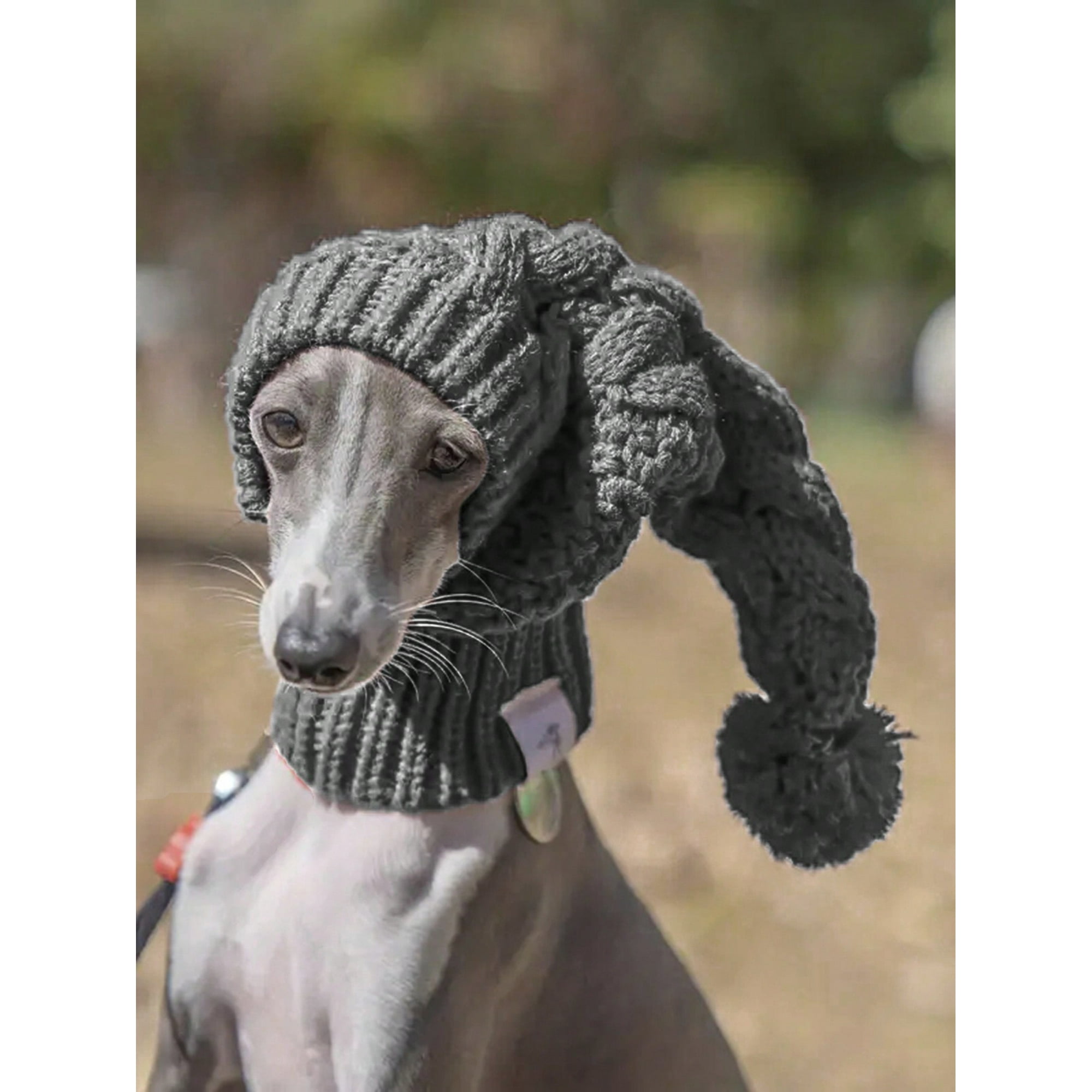 Dog Hat Compatible With Greyhounds And Whippets, Cute