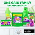 thumbnail image 2 of Gain Flings Laundry Detergent Soap Pacs, 35 Ct, Moonlight Breeze, 2 of 11