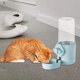 thumbnail image 4 of Alimentador de agua duradero para perros y gatos, dispensador de agua para mascotas, bebedero de 500 ml para conejo, gatito, animal pequeño, pequeño, - AZUL Sunnimix Dispensador de mascotas, 4 of 8