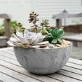thumbnail image 4 of Root & Vessel Napa Bowl Planter, Gray, 12", 4 of 4