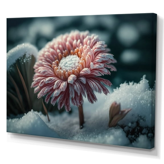 Designart A Blooming Pink Gerbera Flower In Winter I Canvas Wall Art