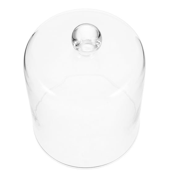 Hytrove Display Dome Cloche Glass 1Set For Special Occasions Decoration