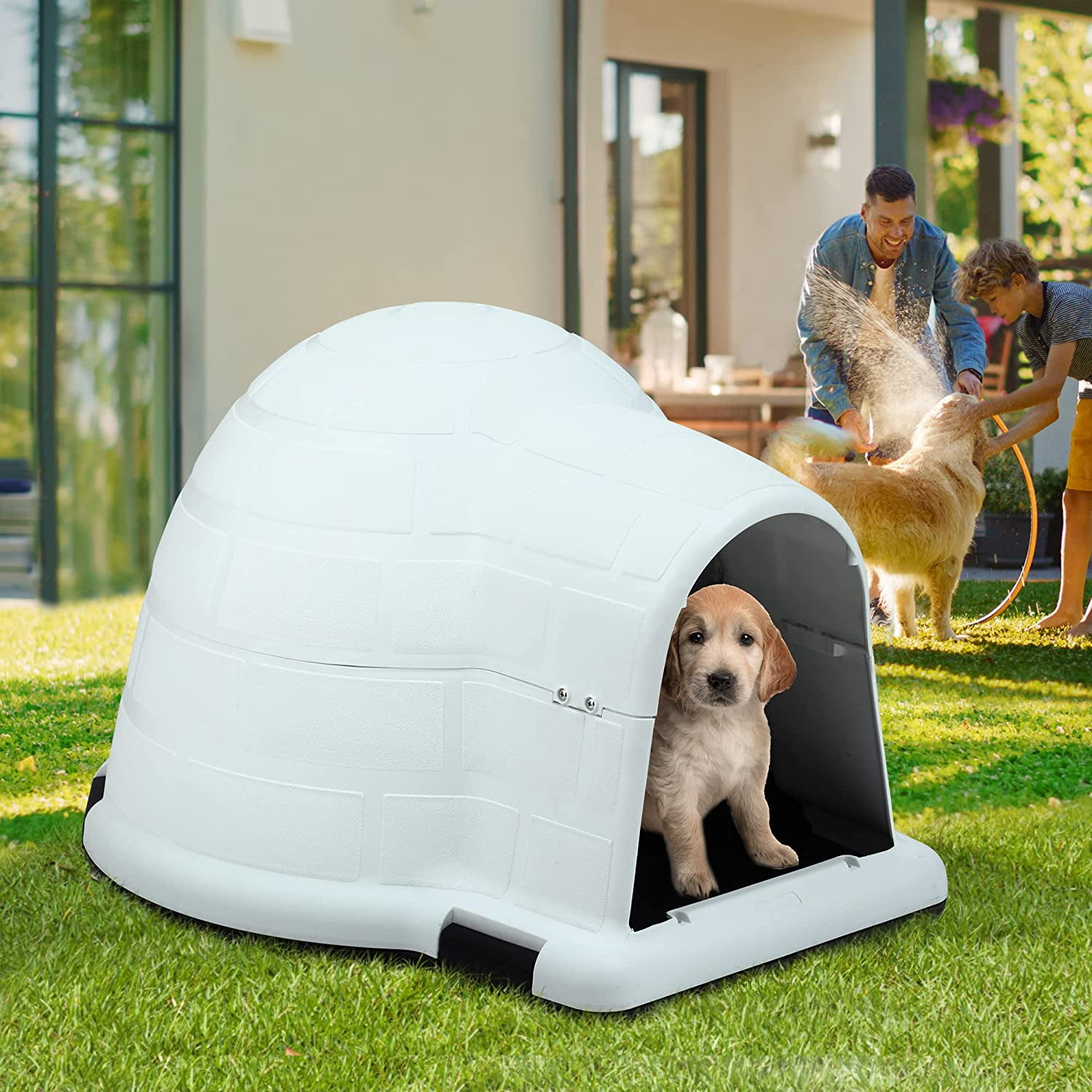 Indigo igloo best sale dog house small