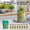 thumbnail image 2 of Seedboy Organic Non-GMO Superfood Blend Sprouting Seeds, USA Grown, 8 oz, 2 of 7