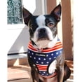 thumbnail image 4 of French Bulldog Harness | Versatile Health Harness | All American, 4 of 10