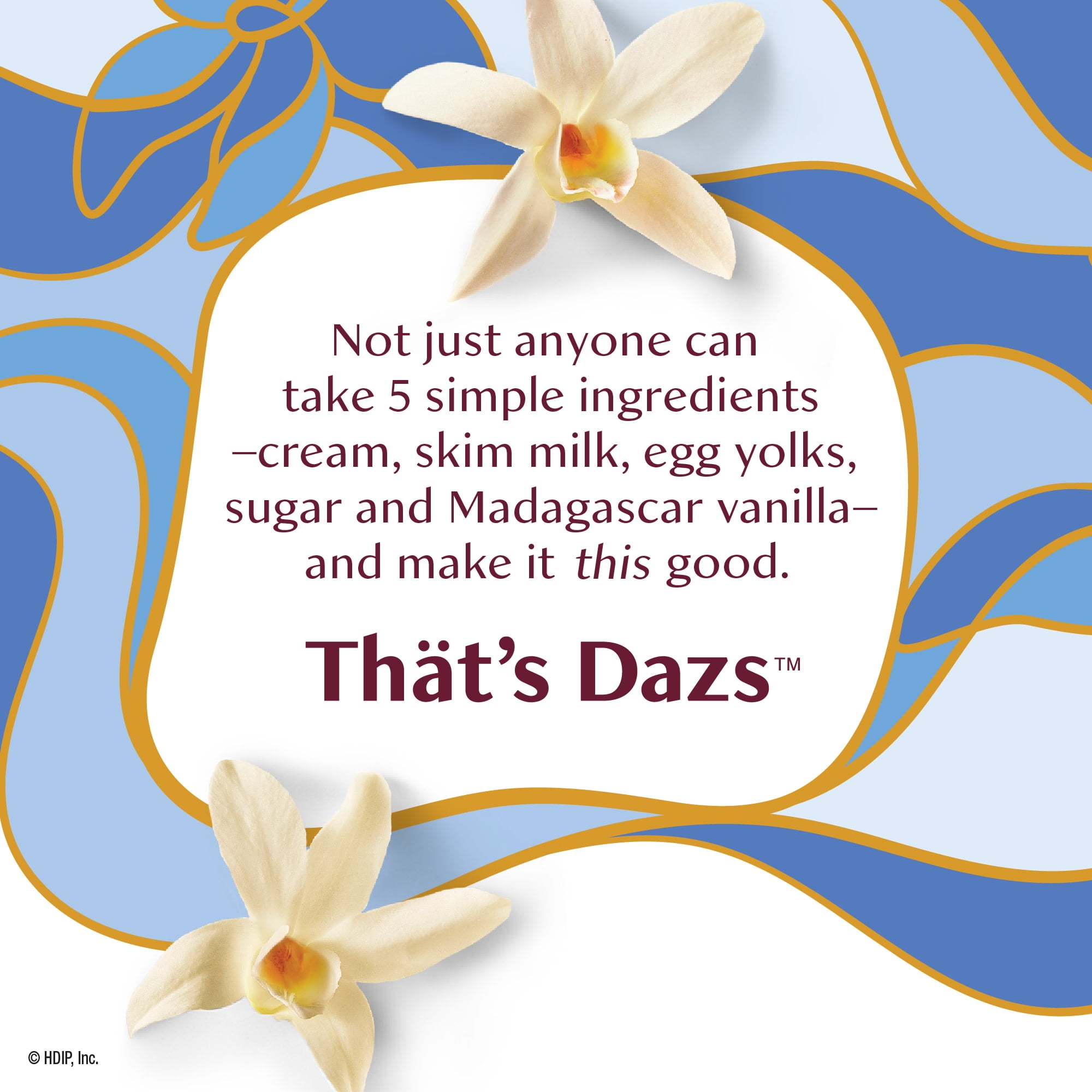 Haagen Dazs Vanilla Ice Cream, Gluten Free, Kosher, 14 oz