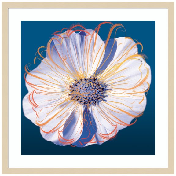 Amanti Art Flower Pop Pastel II Wood Framed Wall Art Print