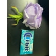 thumbnail image 4 of Redlightmart - Gums Candies - Altoids Mints, 4 of 9