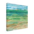 thumbnail image 2 of Tim OToole 'Spring Green Pasture I' Canvas Art, 2 of 3
