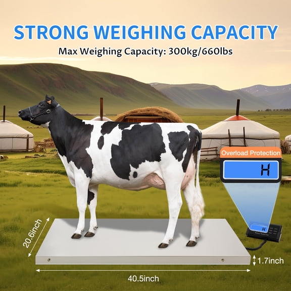 660lbs Load Bearing Large Platform Digital Floor Scale Silver Durable Animal Digital Scale for Pet Stores Pet Hospitals