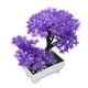 thumbnail image 3 of Decoración de Plantas Artificiales NikouMX Bonsái Artificial en Maceta, 3 of 8