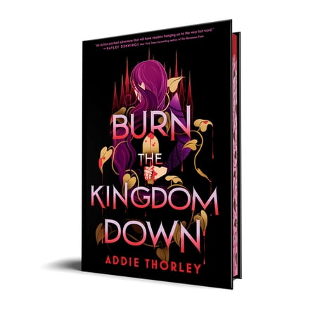 Burn the Kingdom Down, (Hardcover)