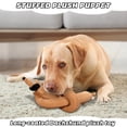 thumbnail image 6 of Long Dachshund Plush Toy - Squeaky Stuffed Puppy With Soft Comforting Texture, Ideal For Teens, Teenagers, S For Cuddling, Decorating, Gifting - 1 Piece (Size As Shown, No, 6 of 6