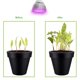 thumbnail image 3 of Luz de crecimiento de plantas YONGSHENG 100 W, 3 of 5
