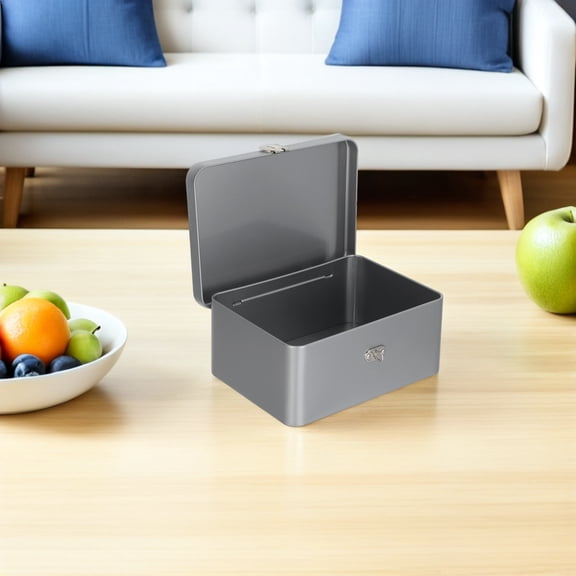 ETEREAUTY Portable Small Metal Storage Tin Box with Lid for Jewelry, Sewing Tools, Craft Supplies Organizer