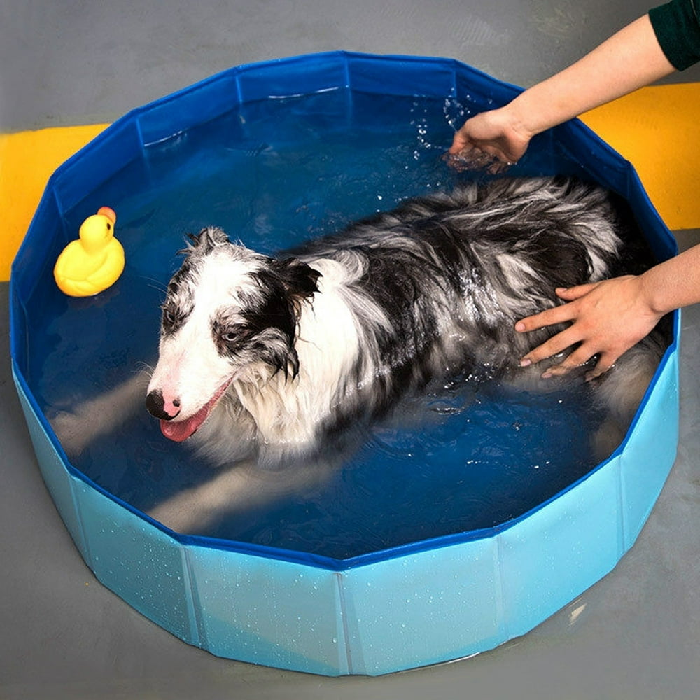 foldable dog pool petsmart