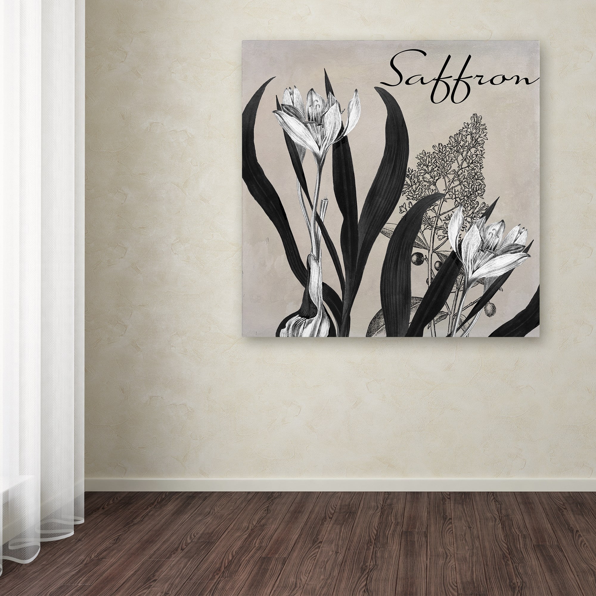 Trademark Fine Art "Flowering Herbs I" Canvas Art by Color Bakery