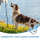 thumbnail image 3 of unbranded 1Jgo Arnés Ajustable Y Correa Para Perros Pequeño Estilo Adorable Para Paseos, 3 of 6