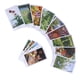 thumbnail image 5 of Cartas de tarot interactivas, carta de adivinación de baraja de tarot de papel revestido de 78 barajas elaborada con cuidado, 5 of 8