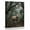 C, variant on XaaKee Art Prints Wet Wool Forest Depth Canvas Wall Art Prints Inner Framed 18*12Inch