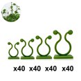 thumbnail image 2 of 160 PCS Plant Climbing Wall Fixture Clips, Plant Clips, Vine Plant Wall Clips, Self-Adhesive Invisible Plant Fixing Hook for Plant Garden Wall Clip, Sticky Plant Fixing Clip, 2 of 5