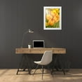 thumbnail image 3 of Murdock, Ramona 14x18 White Modern Wood Framed Museum Art Print Titled - Sunshine Tulips, 3 of 4
